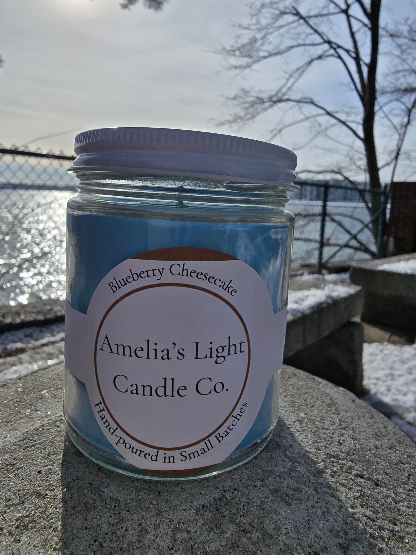 Blueberry Cheesecake